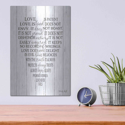 Luxe Metal Art 'Love is Patient II' by Cindy Jacobs, Metal Wall Art,12x16