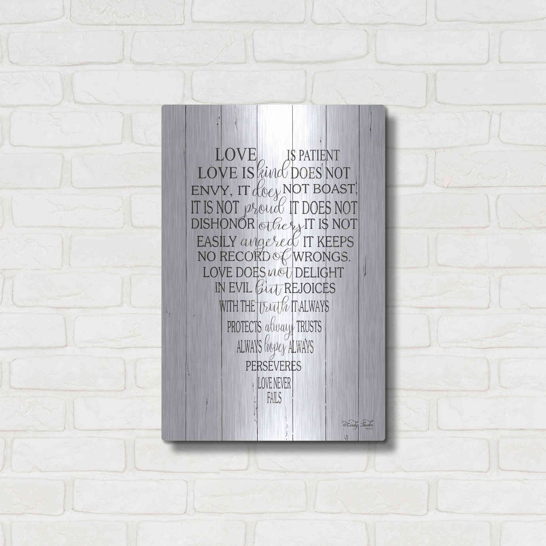 Luxe Metal Art 'Love is Patient II' by Cindy Jacobs, Metal Wall Art,16x24