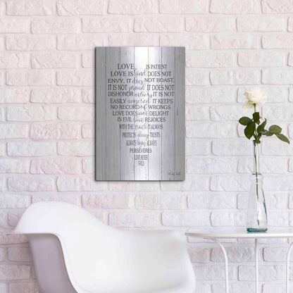 Luxe Metal Art 'Love is Patient II' by Cindy Jacobs, Metal Wall Art,16x24