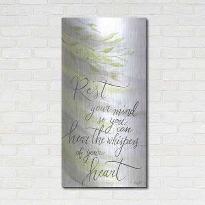 Luxe Metal Art 'Rest Your Mind' by Cindy Jacobs, Metal Wall Art,24x48