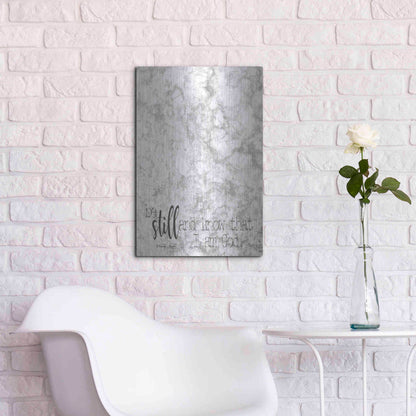 Luxe Metal Art 'Be Still' by Cindy Jacobs, Metal Wall Art,16x24