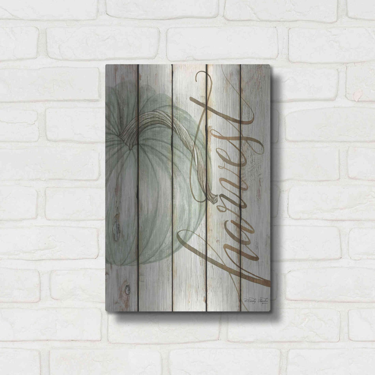 Luxe Metal Art 'Harvest Pumpkin on Shiplap' by Cindy Jacobs, Metal Wall Art,12x16