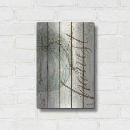 Luxe Metal Art 'Harvest Pumpkin on Shiplap' by Cindy Jacobs, Metal Wall Art,12x16