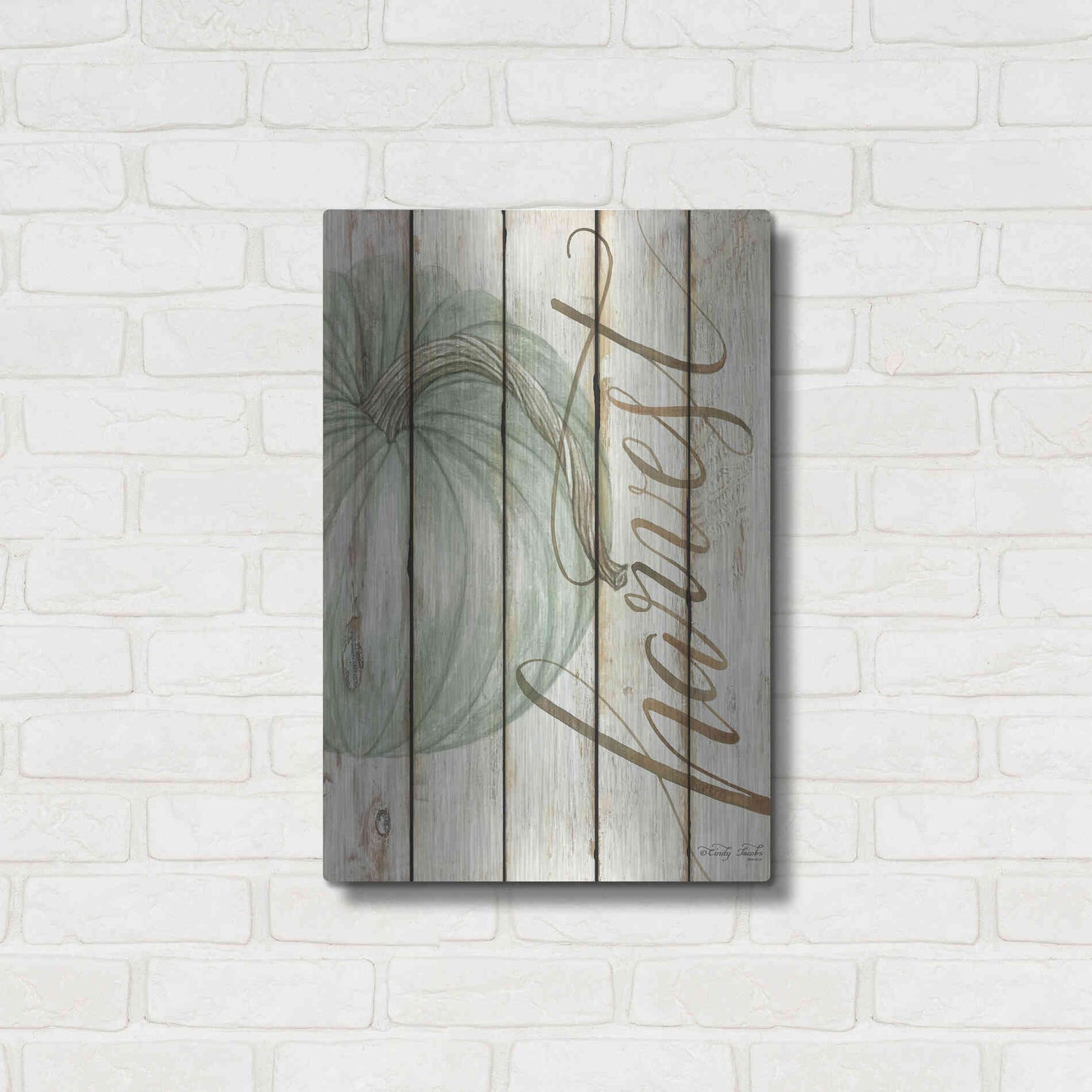 Luxe Metal Art 'Harvest Pumpkin on Shiplap' by Cindy Jacobs, Metal Wall Art,16x24