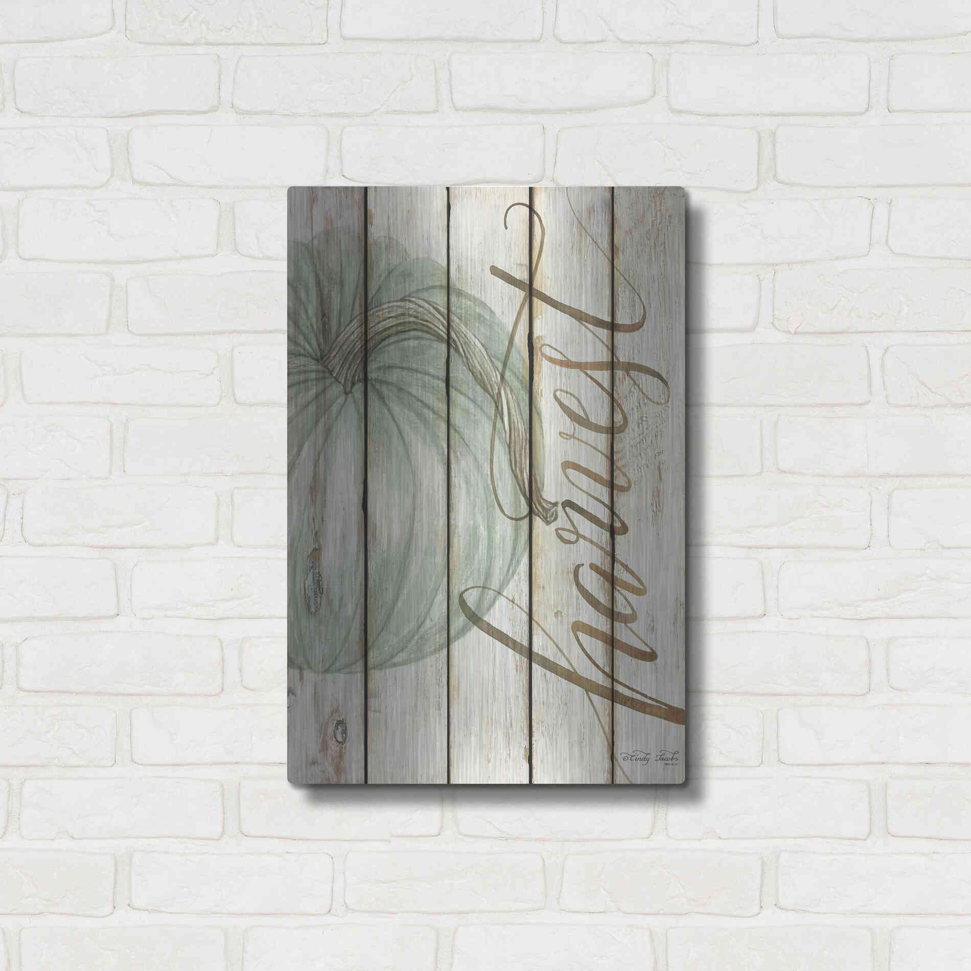 Luxe Metal Art 'Harvest Pumpkin on Shiplap' by Cindy Jacobs, Metal Wall Art,16x24