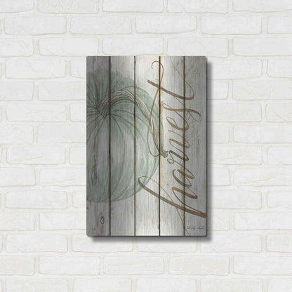 Luxe Metal Art 'Harvest Pumpkin on Shiplap' by Cindy Jacobs, Metal Wall Art,16x24