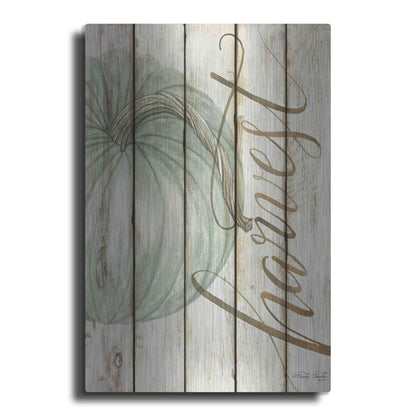 Luxe Metal Art 'Harvest Pumpkin on Shiplap' by Cindy Jacobs, Metal Wall Art