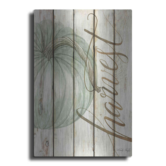 Luxe Metal Art 'Harvest Pumpkin on Shiplap' by Cindy Jacobs, Metal Wall Art