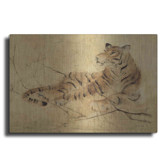 Luxe Metal Art 'Global Tiger Light Crop' by Cheri Blum, Metal Wall Art