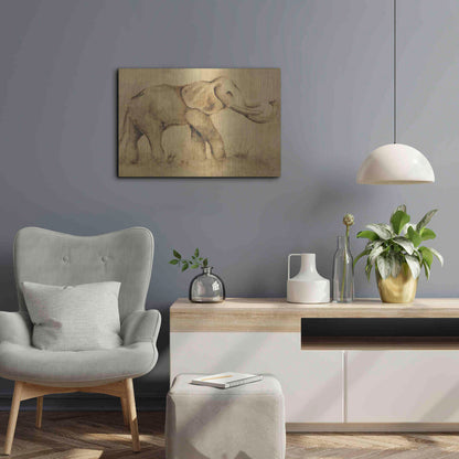 Luxe Metal Art 'Global Elephant Light Crop' by Cheri Blum, Metal Wall Art,24x16