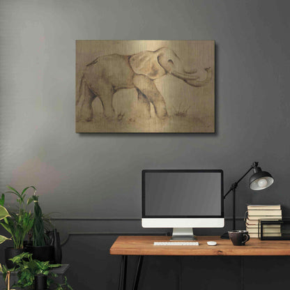 Luxe Metal Art 'Global Elephant Light Crop' by Cheri Blum, Metal Wall Art,36x24