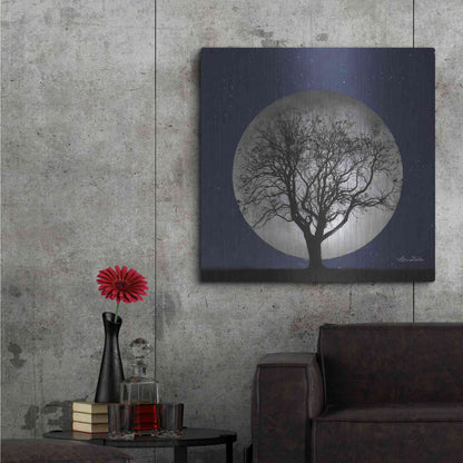 Luxe Metal Art 'Full Moon' by Lori Deiter, Metal Wall Art,36x36