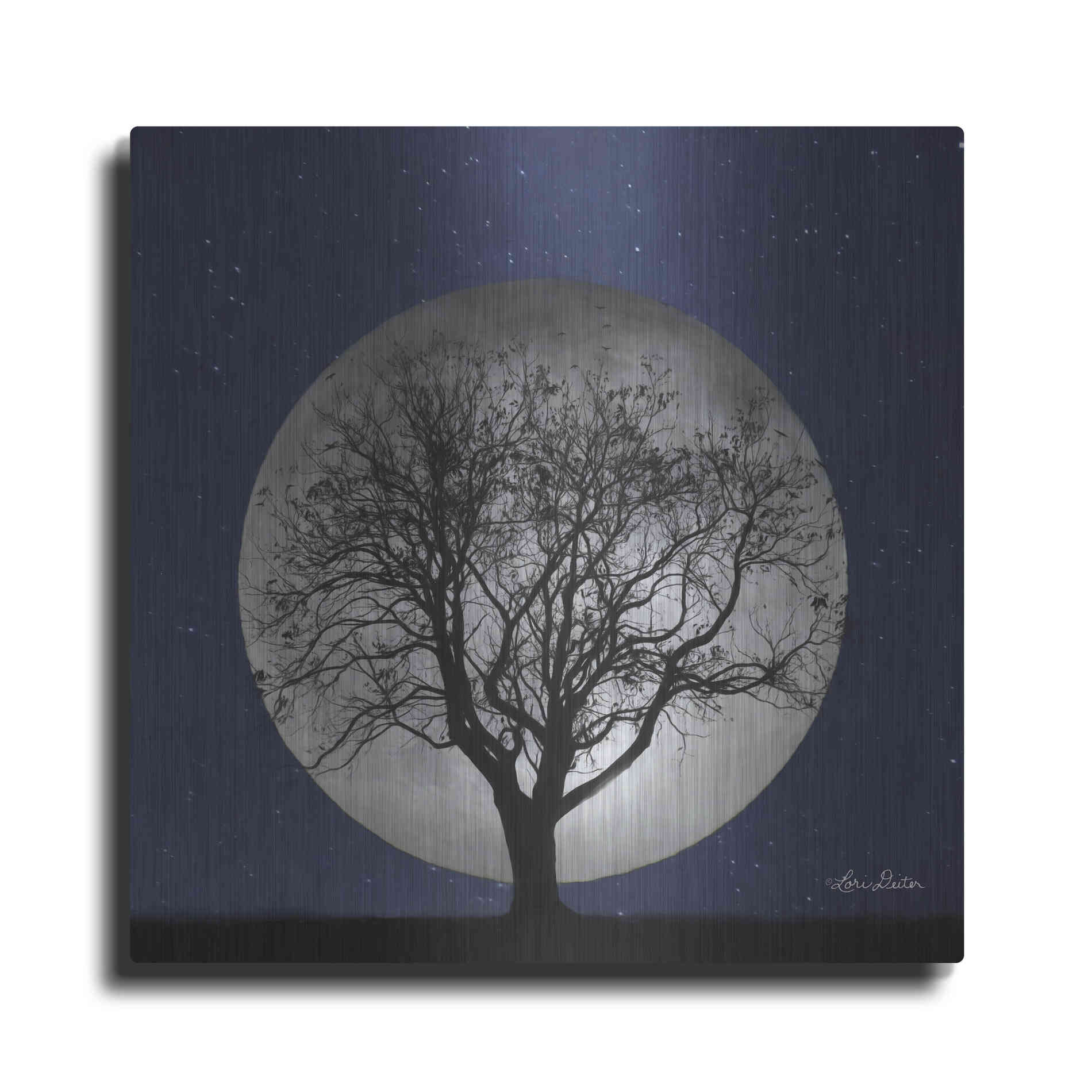 Luxe Metal Art 'Full Moon' by Lori Deiter, Metal Wall Art