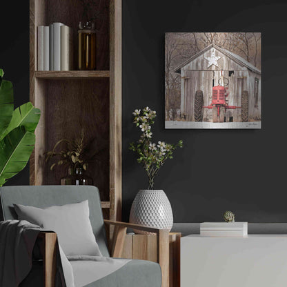 Luxe Metal Art 'Star Shed' by Lori Deiter, Metal Wall Art,24x24