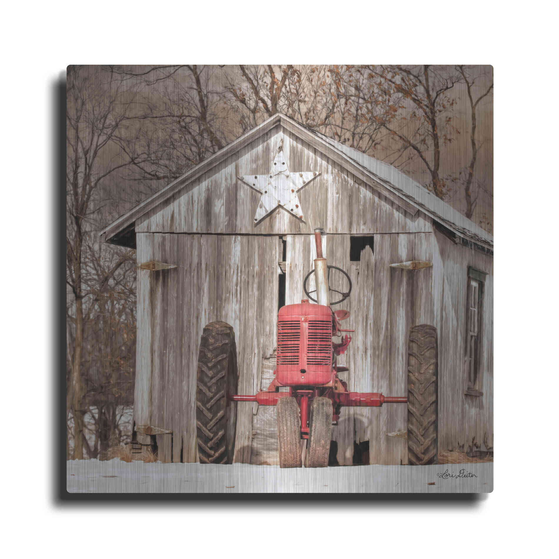 Luxe Metal Art 'Star Shed' by Lori Deiter, Metal Wall Art