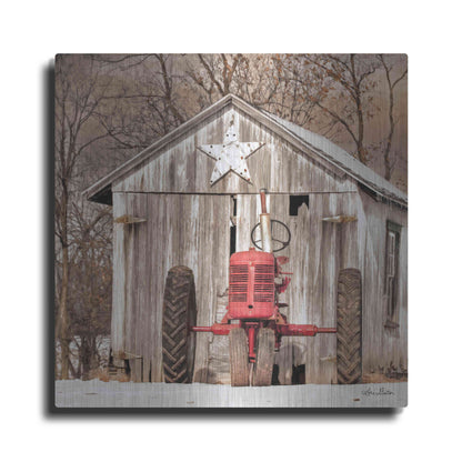 Luxe Metal Art 'Star Shed' by Lori Deiter, Metal Wall Art
