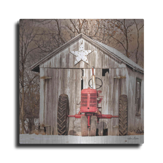 Luxe Metal Art 'Star Shed' by Lori Deiter, Metal Wall Art