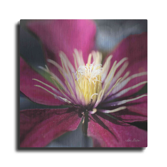 Luxe Metal Art 'Floral Pop II' by Lori Deiter, Metal Wall Art