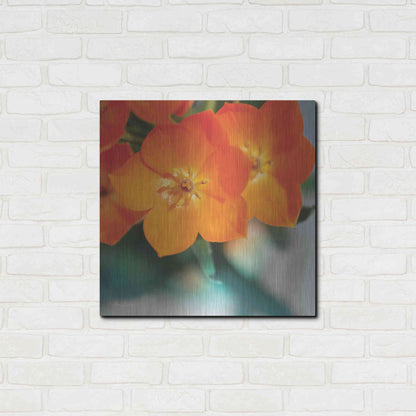 Luxe Metal Art 'Floral Pop III' by Lori Deiter, Metal Wall Art,24x24