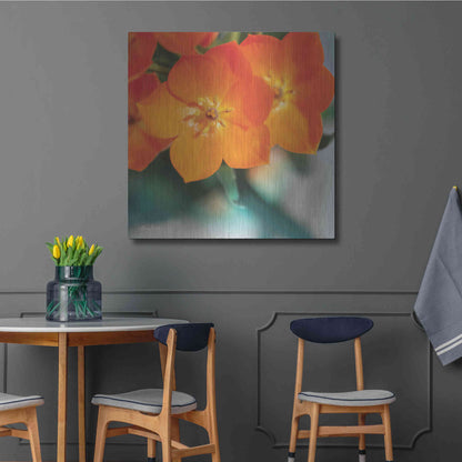 Luxe Metal Art 'Floral Pop III' by Lori Deiter, Metal Wall Art,36x36