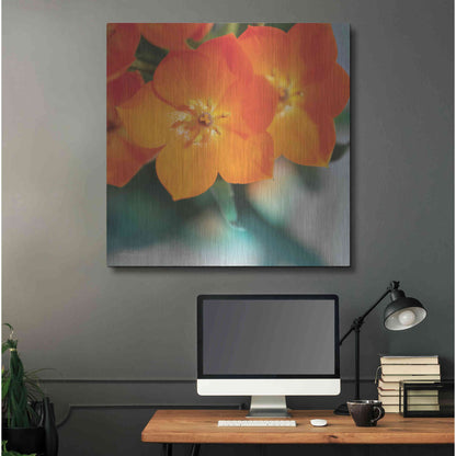 Luxe Metal Art 'Floral Pop III' by Lori Deiter, Metal Wall Art,36x36