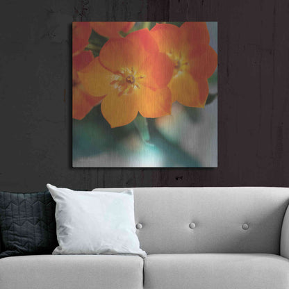 Luxe Metal Art 'Floral Pop III' by Lori Deiter, Metal Wall Art,36x36
