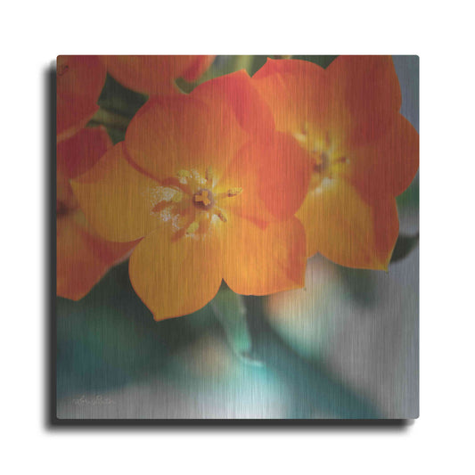 Luxe Metal Art 'Floral Pop III' by Lori Deiter, Metal Wall Art