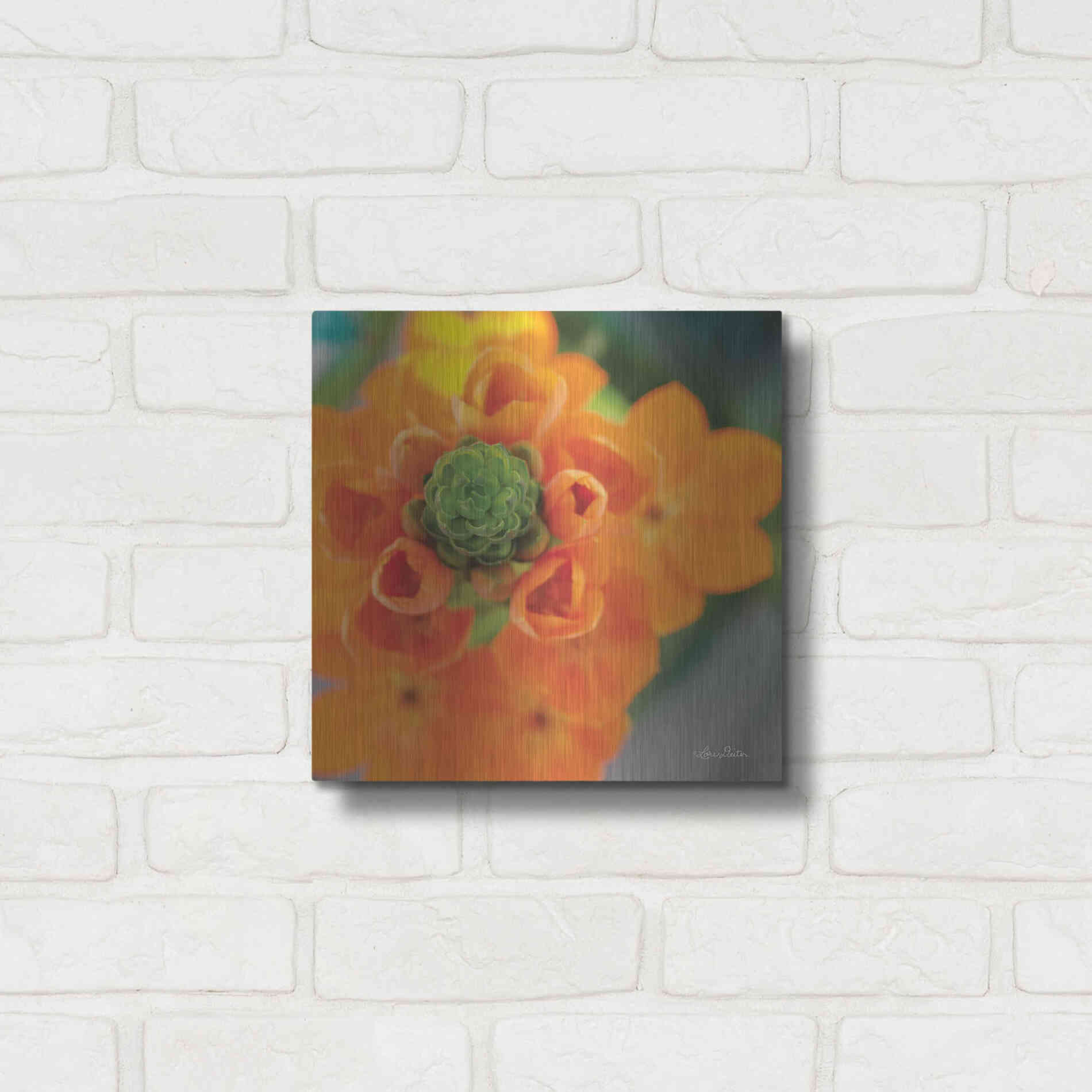 Luxe Metal Art 'Floral Pop IV' by Lori Deiter, Metal Wall Art,12x12