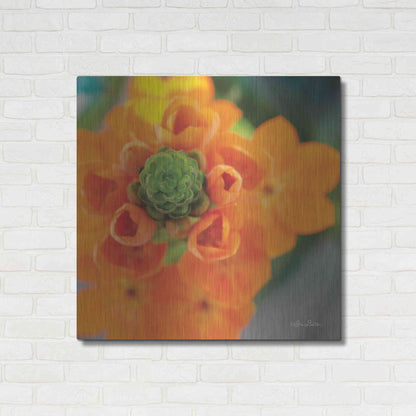 Luxe Metal Art 'Floral Pop IV' by Lori Deiter, Metal Wall Art,36x36