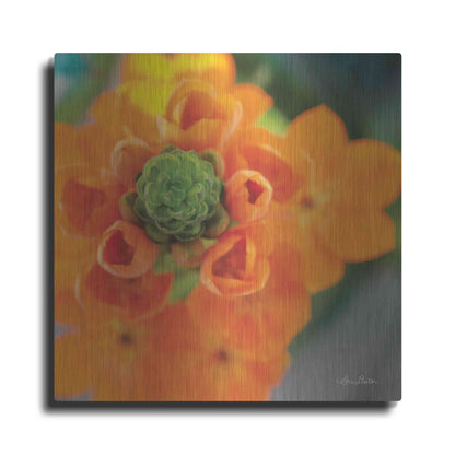 Luxe Metal Art 'Floral Pop IV' by Lori Deiter, Metal Wall Art
