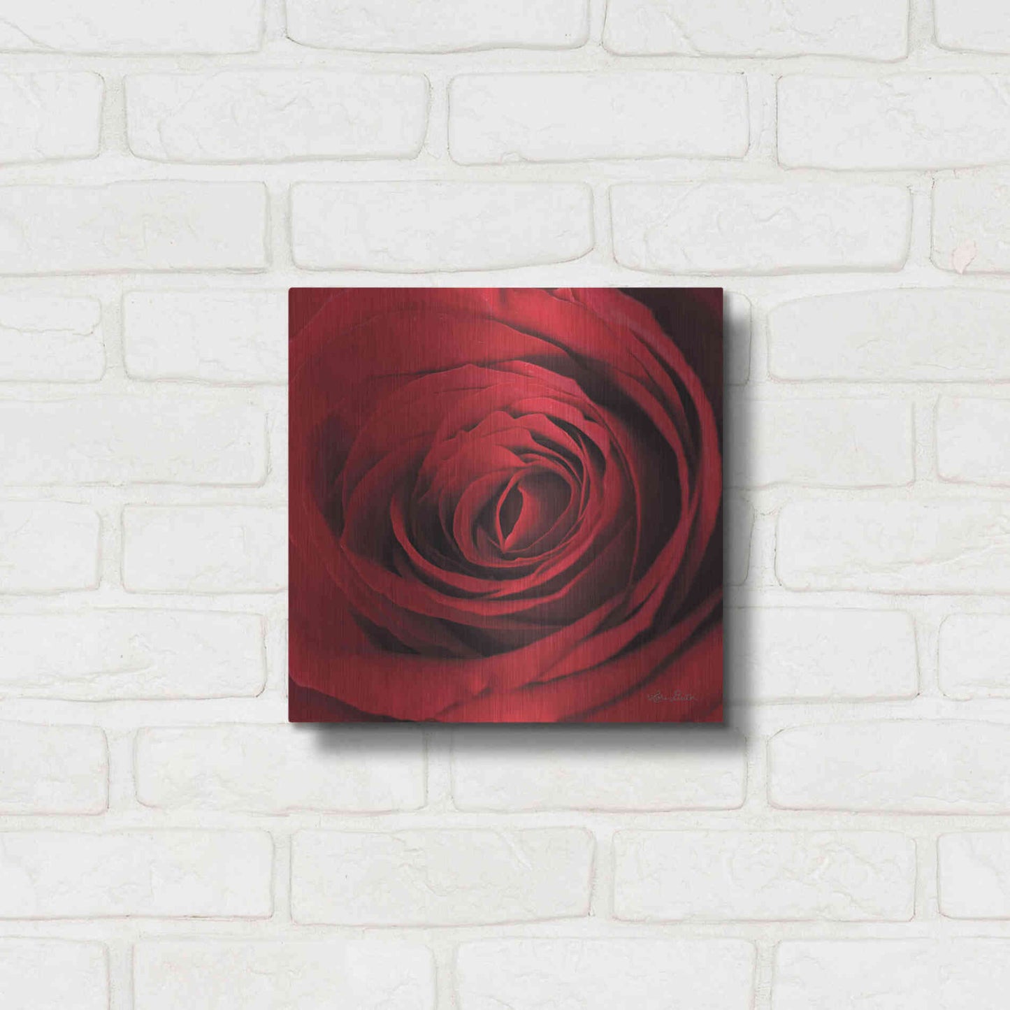 Luxe Metal Art 'The Red Rose II' by Lori Deiter, Metal Wall Art,12x12