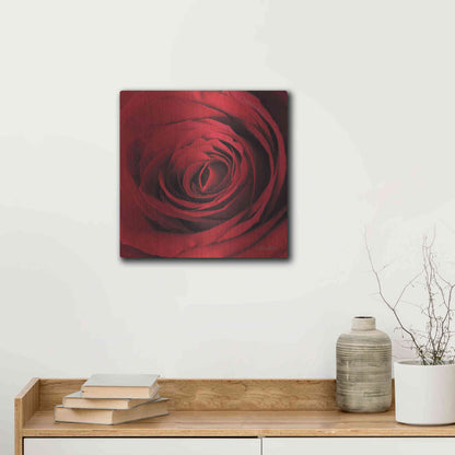 Luxe Metal Art 'The Red Rose II' by Lori Deiter, Metal Wall Art,12x12