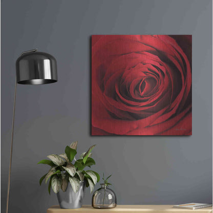 Luxe Metal Art 'The Red Rose II' by Lori Deiter, Metal Wall Art,24x24