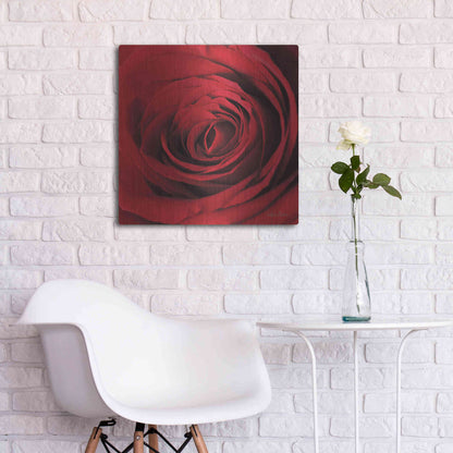 Luxe Metal Art 'The Red Rose II' by Lori Deiter, Metal Wall Art,24x24