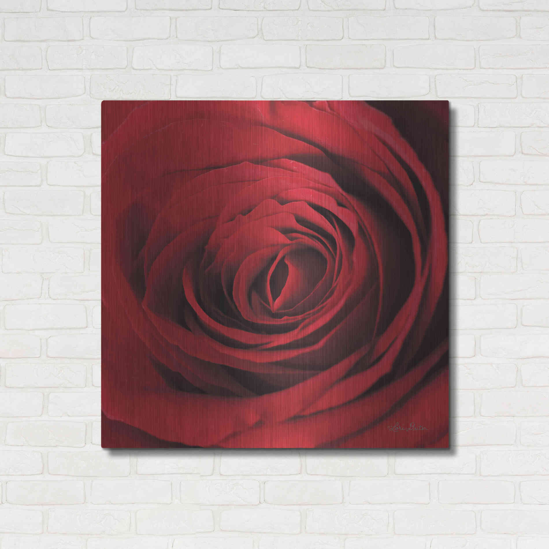 Luxe Metal Art 'The Red Rose II' by Lori Deiter, Metal Wall Art,36x36