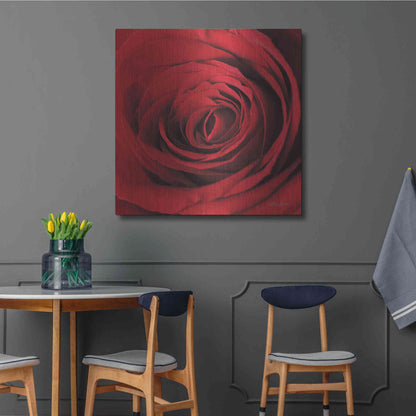 Luxe Metal Art 'The Red Rose II' by Lori Deiter, Metal Wall Art,36x36