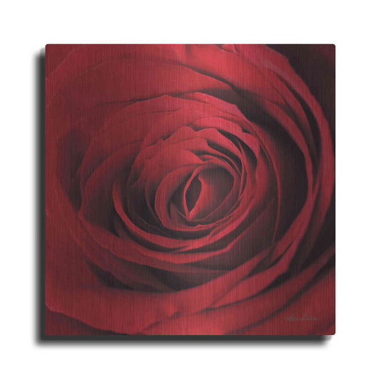 Luxe Metal Art 'The Red Rose II' by Lori Deiter, Metal Wall Art