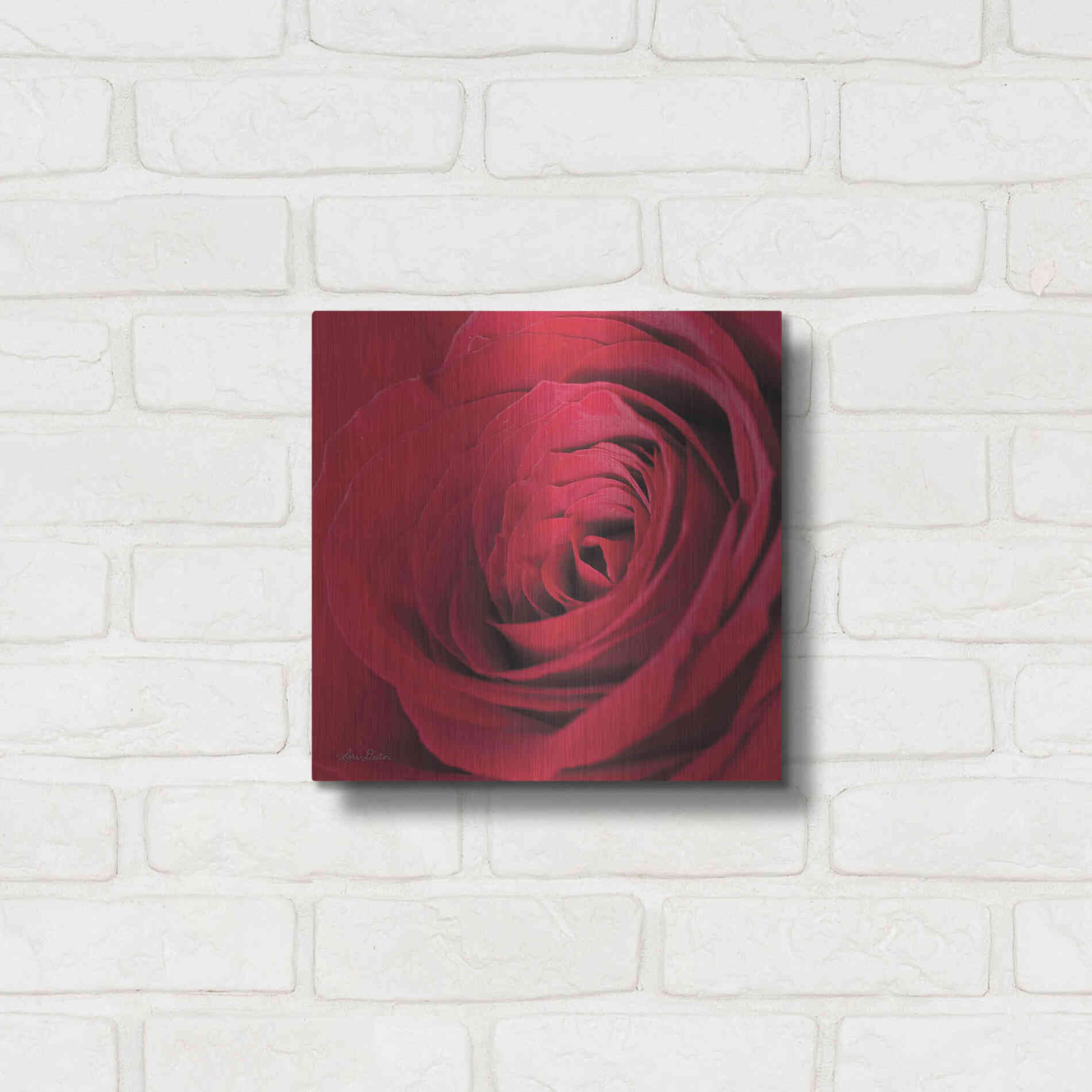 Luxe Metal Art 'The Red Rose III' by Lori Deiter, Metal Wall Art,12x12