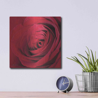 Luxe Metal Art 'The Red Rose III' by Lori Deiter, Metal Wall Art,12x12