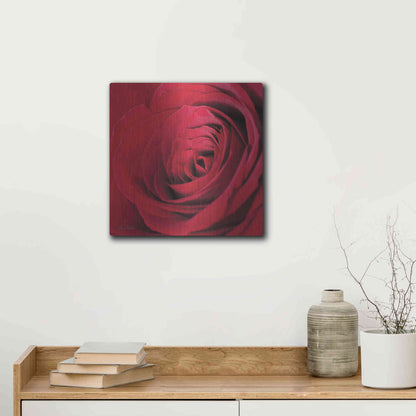 Luxe Metal Art 'The Red Rose III' by Lori Deiter, Metal Wall Art,12x12