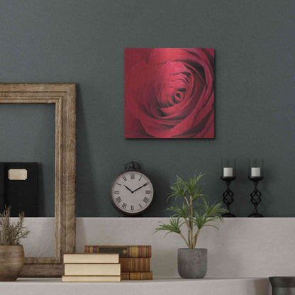 Luxe Metal Art 'The Red Rose III' by Lori Deiter, Metal Wall Art,12x12