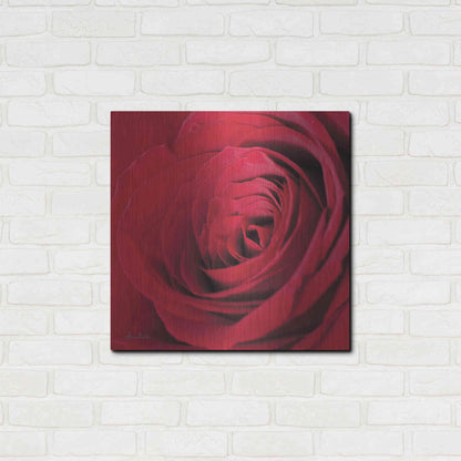 Luxe Metal Art 'The Red Rose III' by Lori Deiter, Metal Wall Art,24x24