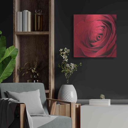 Luxe Metal Art 'The Red Rose III' by Lori Deiter, Metal Wall Art,24x24