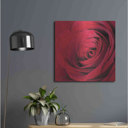 Luxe Metal Art 'The Red Rose III' by Lori Deiter, Metal Wall Art,24x24