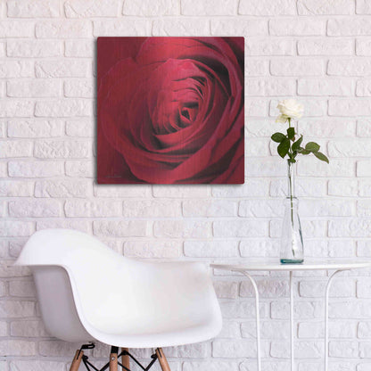 Luxe Metal Art 'The Red Rose III' by Lori Deiter, Metal Wall Art,24x24