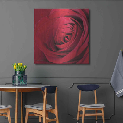 Luxe Metal Art 'The Red Rose III' by Lori Deiter, Metal Wall Art,36x36