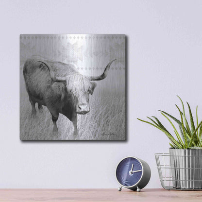 Luxe Metal Art 'I Want a Nose Ring' by Lori Deiter, Metal Wall Art,12x12