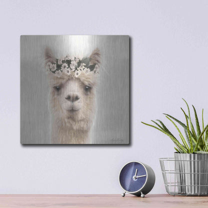 Luxe Metal Art 'Alpaca with Flowers' by Lori Deiter, Metal Wall Art,12x12