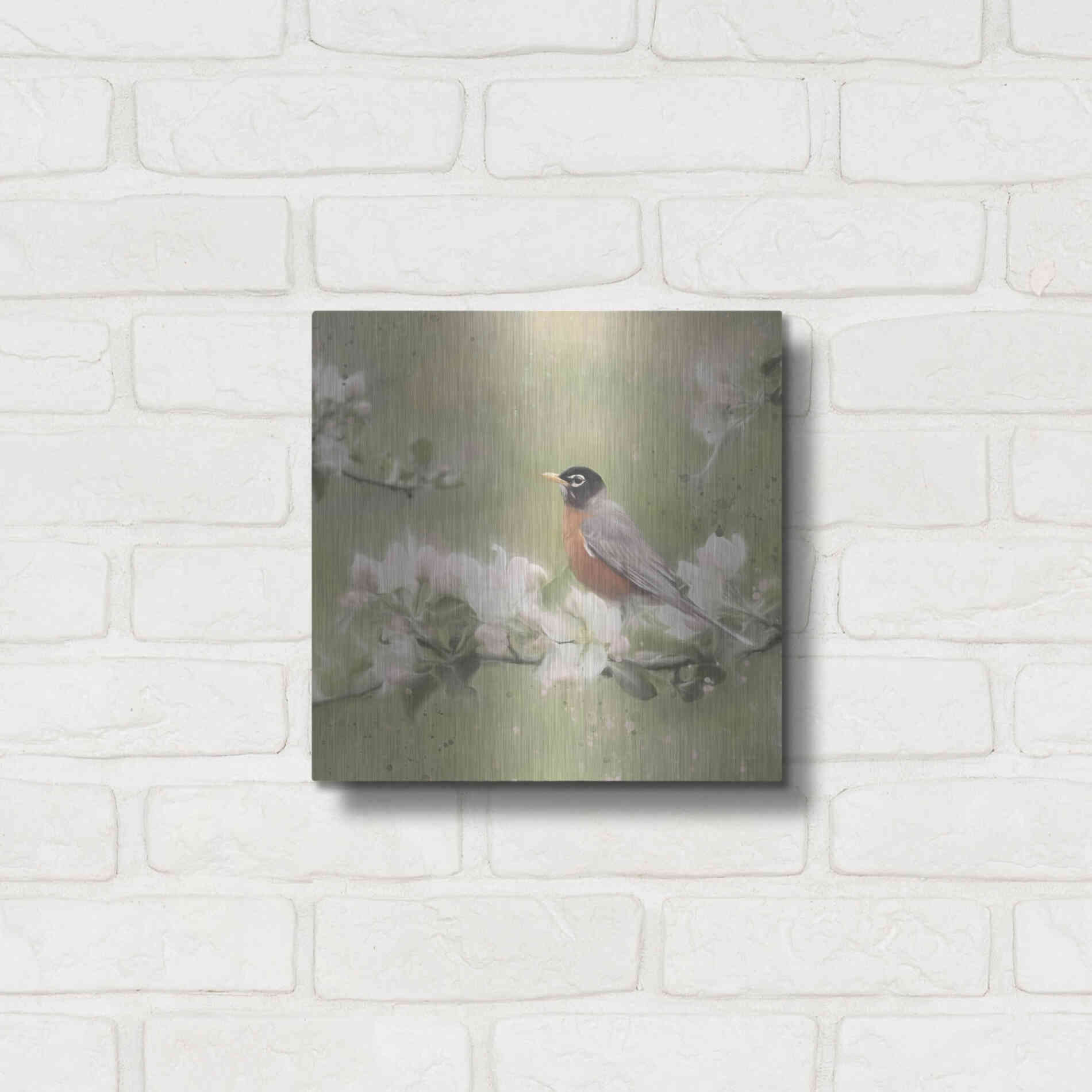 Luxe Metal Art 'Springtime Robin' by Lori Deiter, Metal Wall Art,12x12