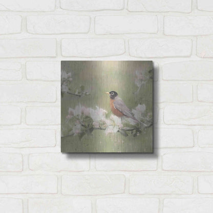 Luxe Metal Art 'Springtime Robin' by Lori Deiter, Metal Wall Art,12x12